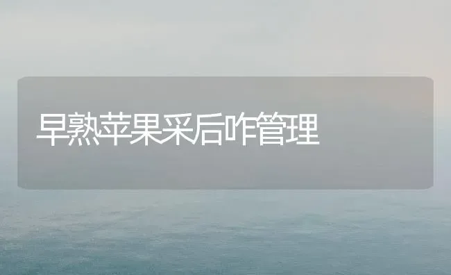 早熟苹果采后咋管理 | 瓜果种植