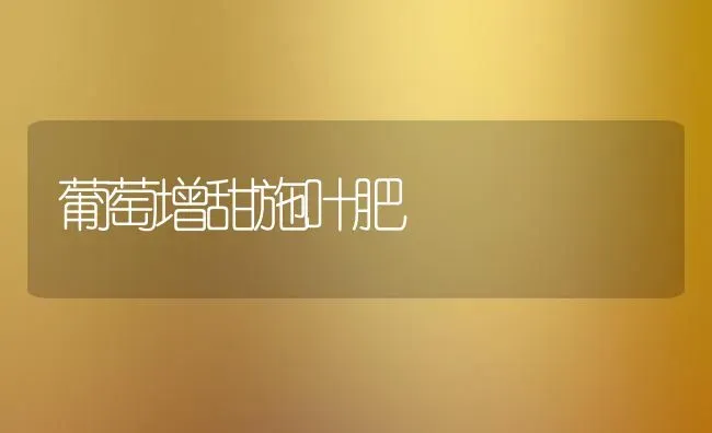 葡萄增甜施叶肥 | 瓜果种植