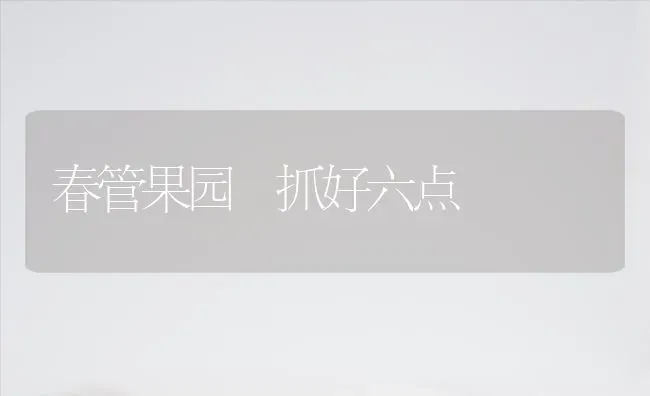 春管果园 抓好六点 | 瓜果种植