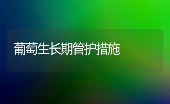 葡萄生长期管护措施 | 瓜果种植