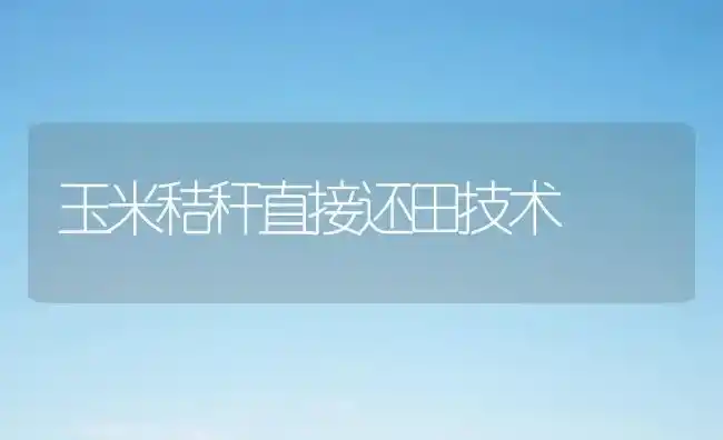 玉米秸秆直接还田技术 | 粮油作物种植