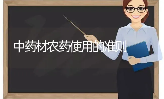 中药材农药使用的准则 | 药材种植