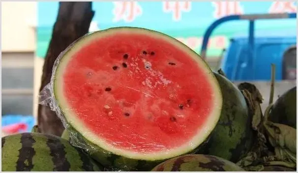 西瓜藤蔓怎么处理？剪枝的注意事项 | 种植技术