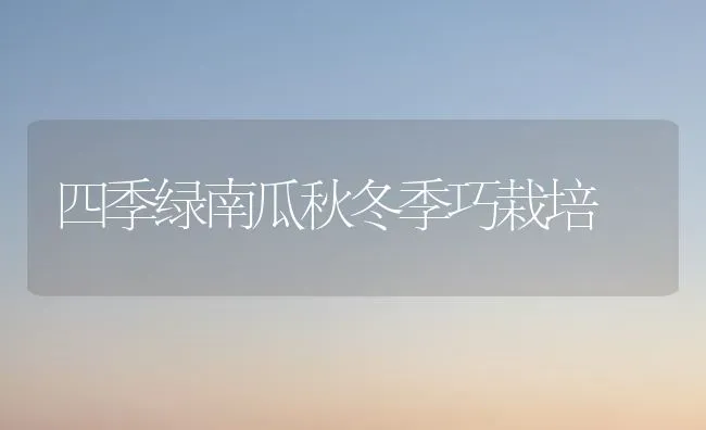 四季绿南瓜秋冬季巧栽培 | 蔬菜种植