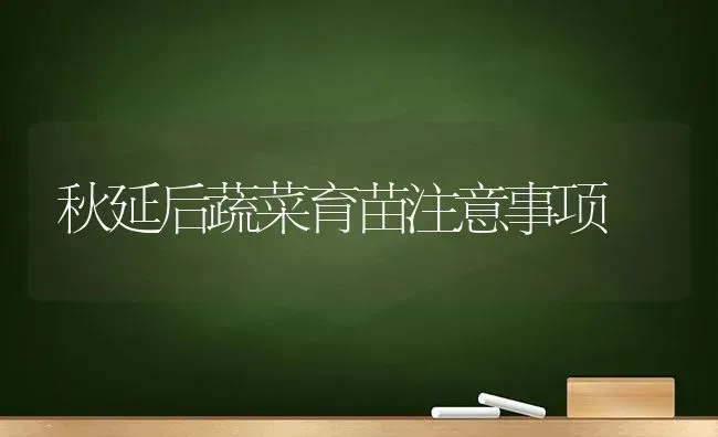 秋延后蔬菜育苗注意事项 | 蔬菜种植