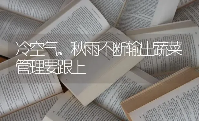 冷空气、秋雨不断输出蔬菜管理要跟上 | 蔬菜种植