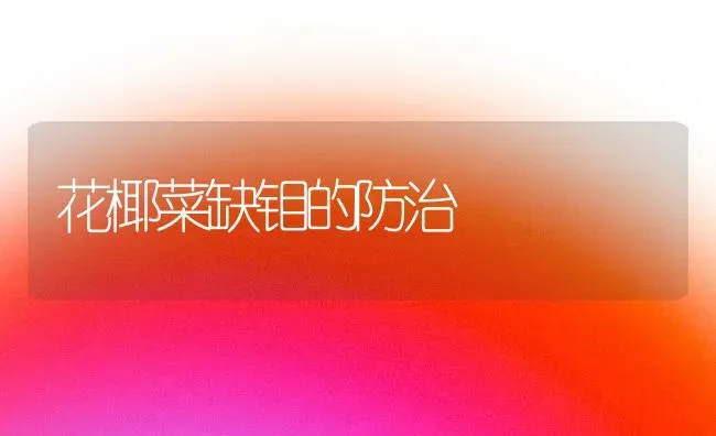 花椰菜缺钼的防治 | 蔬菜种植