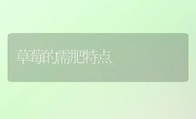 草莓的需肥特点 | 瓜果种植