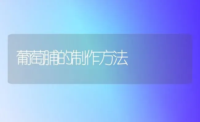 葡萄脯的制作方法 | 瓜果种植