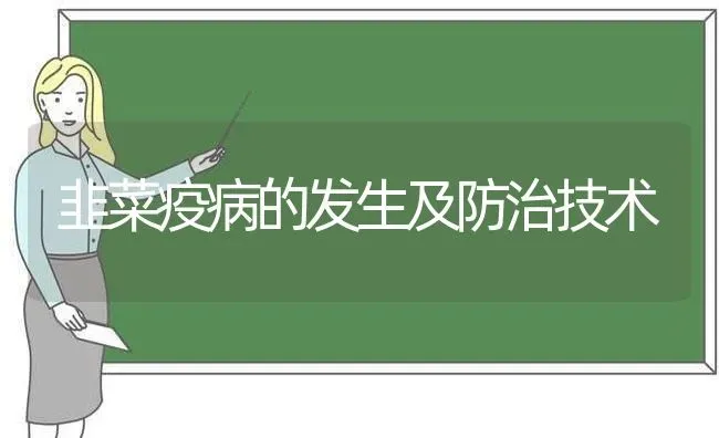 韭菜疫病的发生及防治技术 | 蔬菜种植