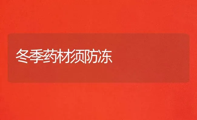 冬季药材须防冻 | 药材种植