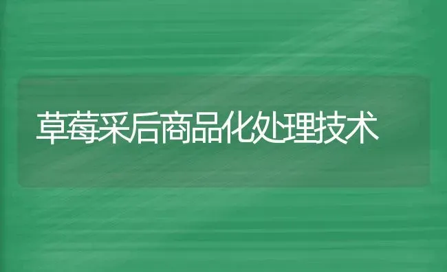 草莓采后商品化处理技术 | 瓜果种植