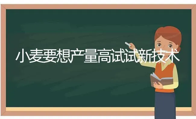 大樱桃摘果后如何管理 | 瓜果种植