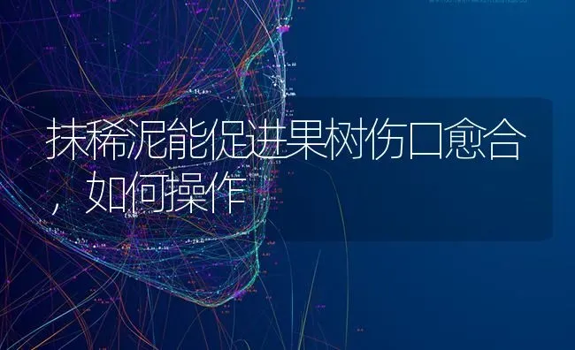 抹稀泥能促进果树伤口愈合，如何操作 | 瓜果种植
