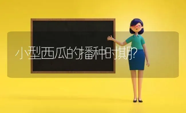 小型西瓜的播种时期？ | 瓜果种植
