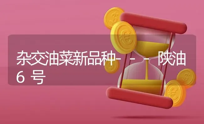 杂交油菜新品种---陕油6号 | 粮油作物种植