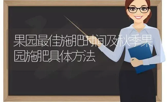 果园最佳施肥时间及秋季果园施肥具体方法 | 瓜果种植