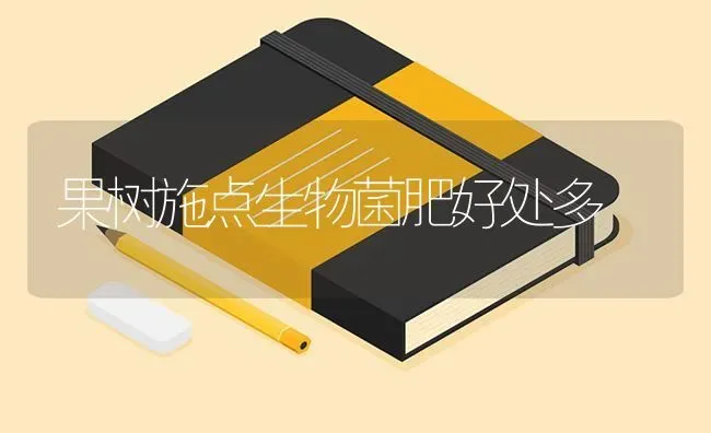 果树施点生物菌肥好处多 | 瓜果种植