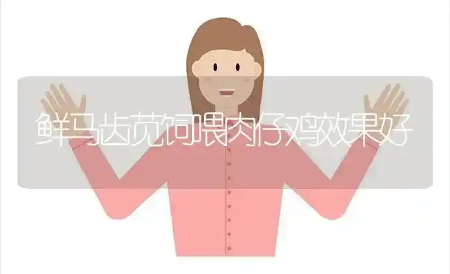 鲜马齿苋饲喂肉仔鸡效果好 | 瓜果种植