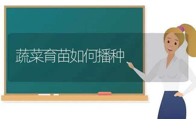 蔬菜育苗如何播种 | 蔬菜种植