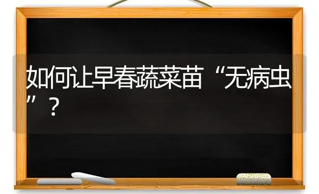 如何让早春蔬菜苗“无病虫”？ | 蔬菜种植