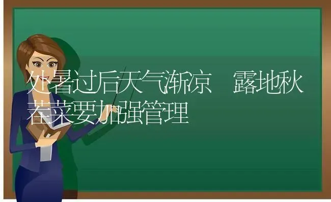 处暑过后天气渐凉 露地秋茬菜要加强管理 | 蔬菜种植