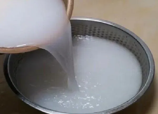 植物浇水|淘米水可以浇哪些花 怎样用淘米水浇花最好