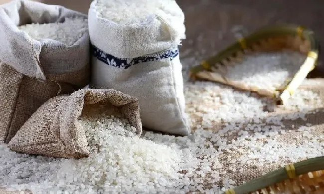 食用科普|中国最好吃的大米排行榜（全国品牌优质大米是哪里产的）