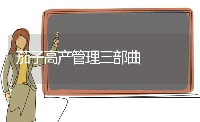 茄子高产管理三部曲 | 蔬菜种植