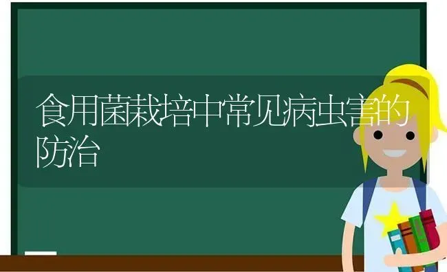 食用菌栽培中常见病虫害的防治 | 种植病虫害防治