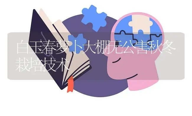 白玉春萝卜大棚无公害秋冬栽培技术 | 蔬菜种植