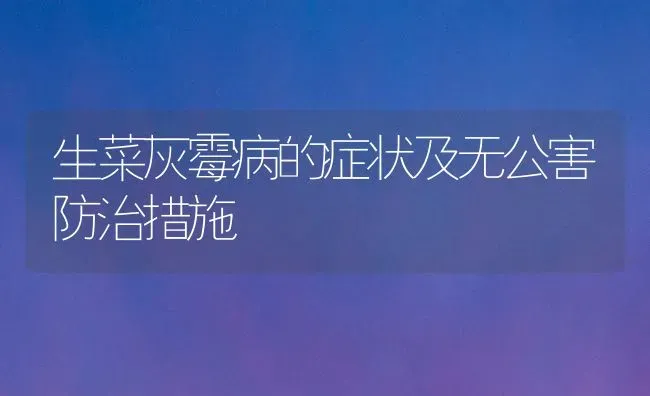 生菜灰霉病的症状及无公害防治措施 | 蔬菜种植