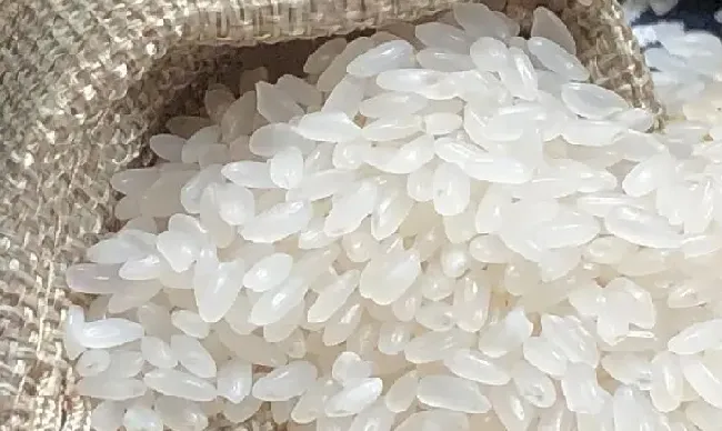 食用科普|中国最好吃的大米排行榜（全国品牌优质大米是哪里产的）