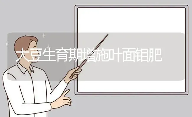 大豆生育期增施叶面钼肥 | 粮油作物种植