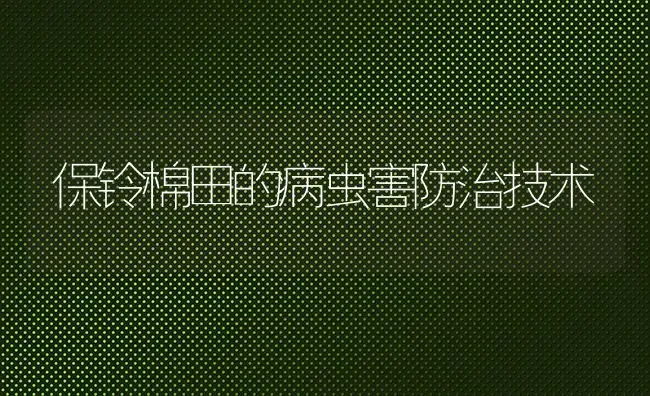 保铃棉田的病虫害防治技术 | 种植病虫害防治