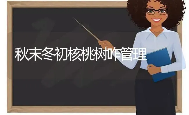 秋末冬初核桃树咋管理 | 瓜果种植