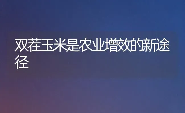 双茬玉米是农业增效的新途径 | 粮油作物种植