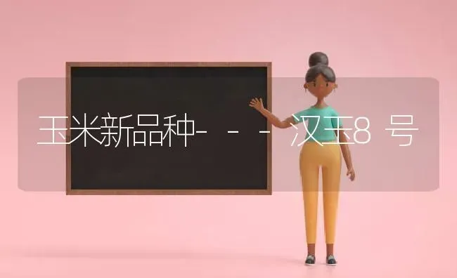 秋胡萝卜田间管理 | 蔬菜种植