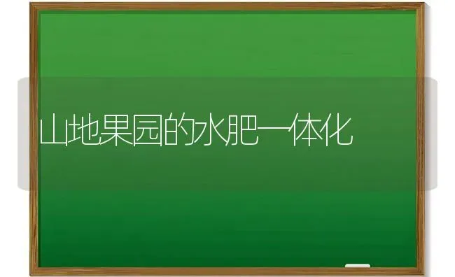 山地果园的水肥一体化 | 瓜果种植