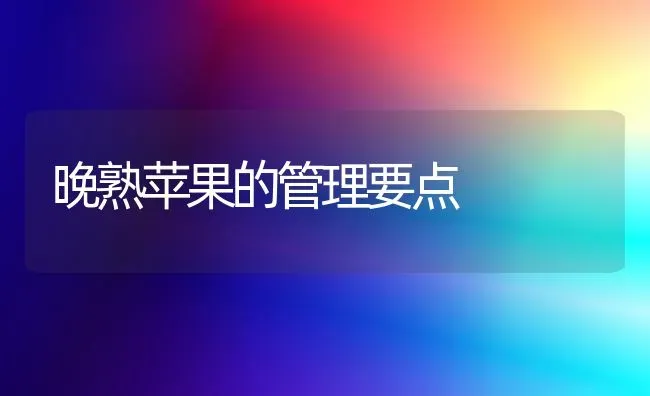 晚熟苹果的管理要点 | 瓜果种植