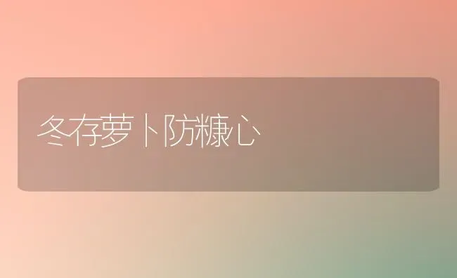 冬存萝卜防糠心 | 蔬菜种植