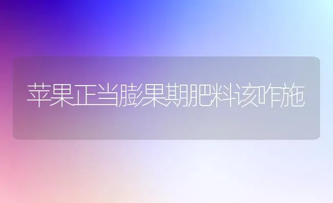 苹果正当膨果期肥料该咋施 | 瓜果种植