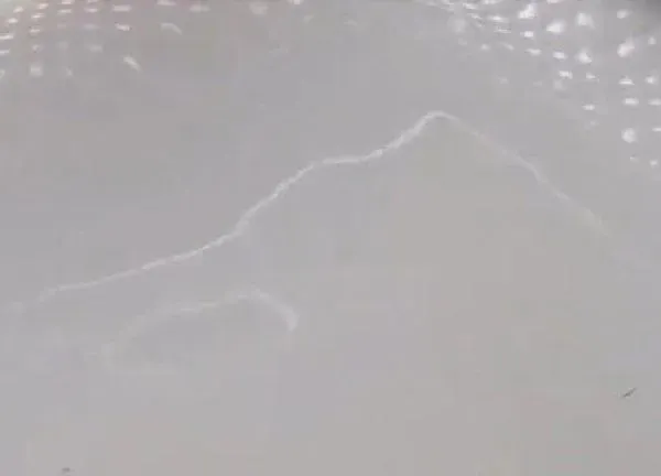 植物浇水|淘米水可以浇哪些花 怎样用淘米水浇花最好