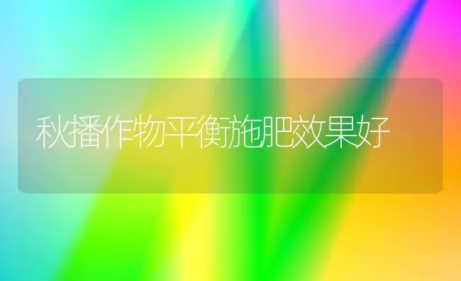 秋播作物平衡施肥效果好 | 瓜果种植