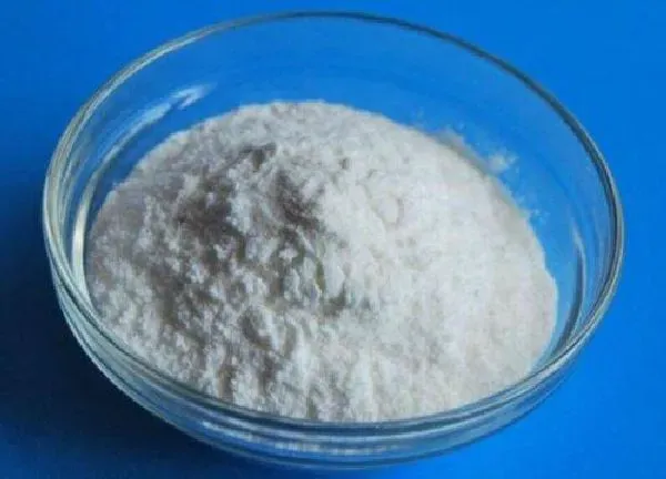 植物浇水|代森锰锌可以浇多肉吗