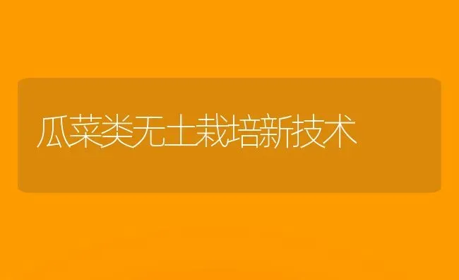 瓜菜类无土栽培新技术 | 蔬菜种植