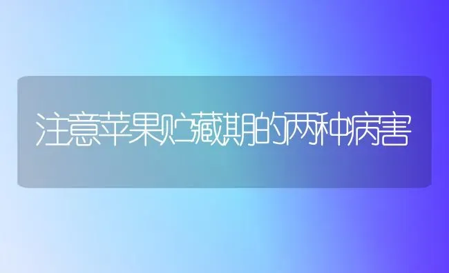 注意苹果贮藏期的两种病害 | 瓜果种植