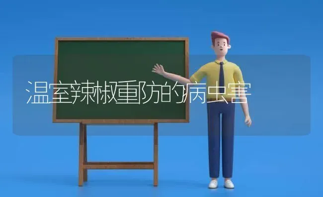 温室辣椒重防的病虫害 | 种植病虫害防治