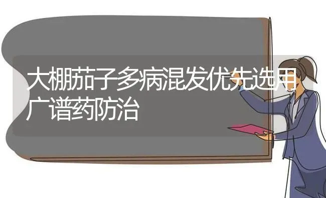 大棚茄子多病混发优先选用广谱药防治 | 蔬菜种植