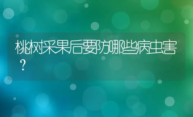 桃树采果后要防哪些病虫害？ | 瓜果种植